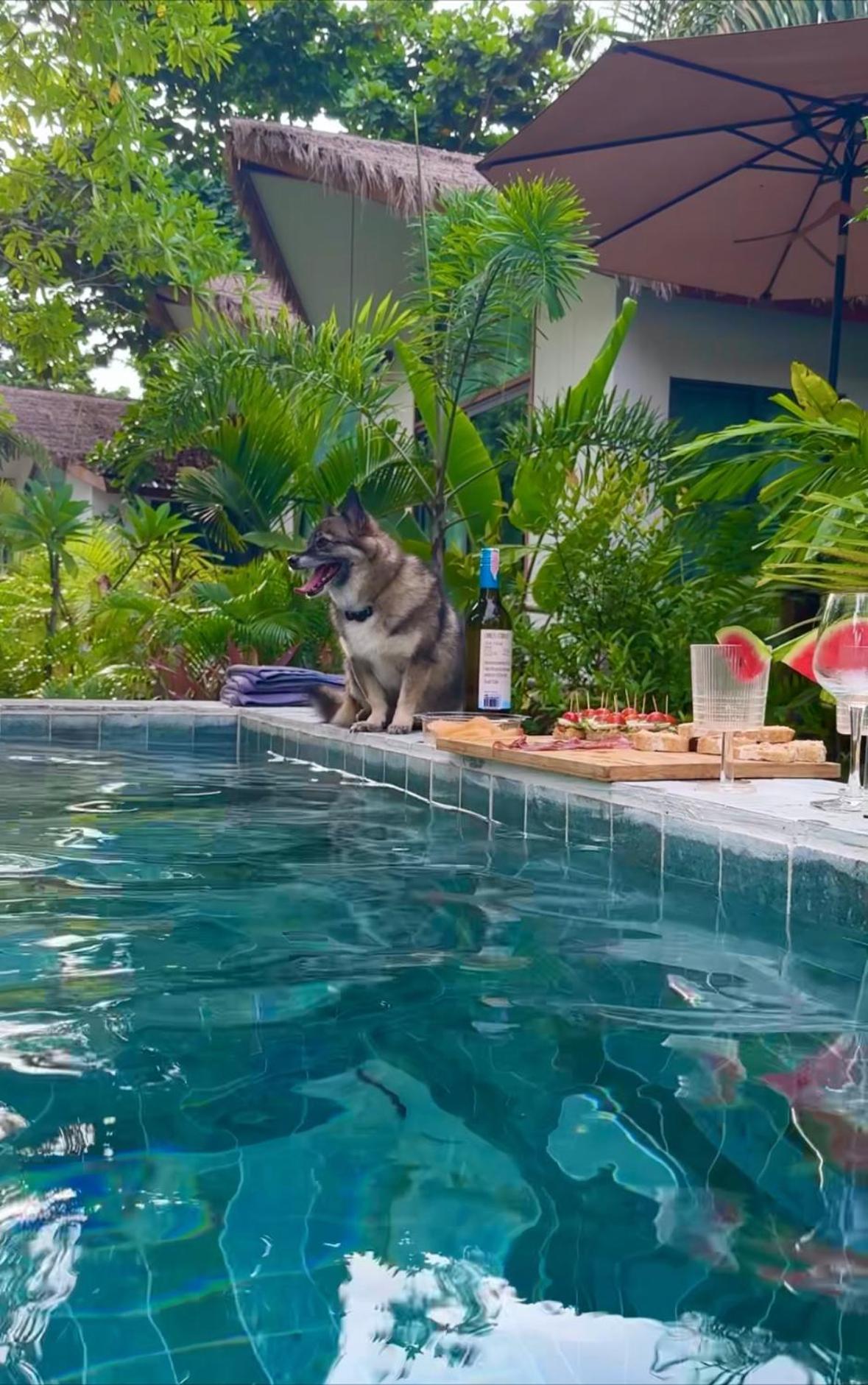 Salad Beach Guest House Ko Pha Ngan Exterior foto
